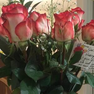 Meet your Posher, Donna